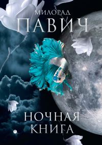 Обложка книги «Ночная книга»