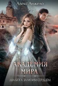 Обложка книги «Академия Мира. Два Бога за моим сердцем»