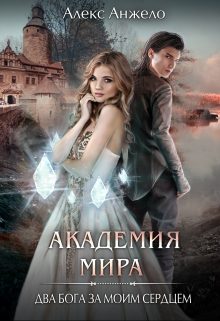 Обложка книги «Академия Мира. Два Бога за моим сердцем»