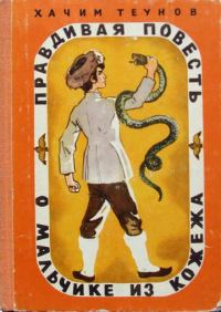 Обложка книги «Правдивая повесть о мальчике из Кожежа»