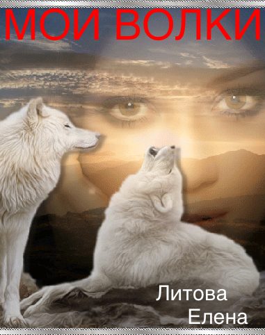 Обложка книги «Мои волки»