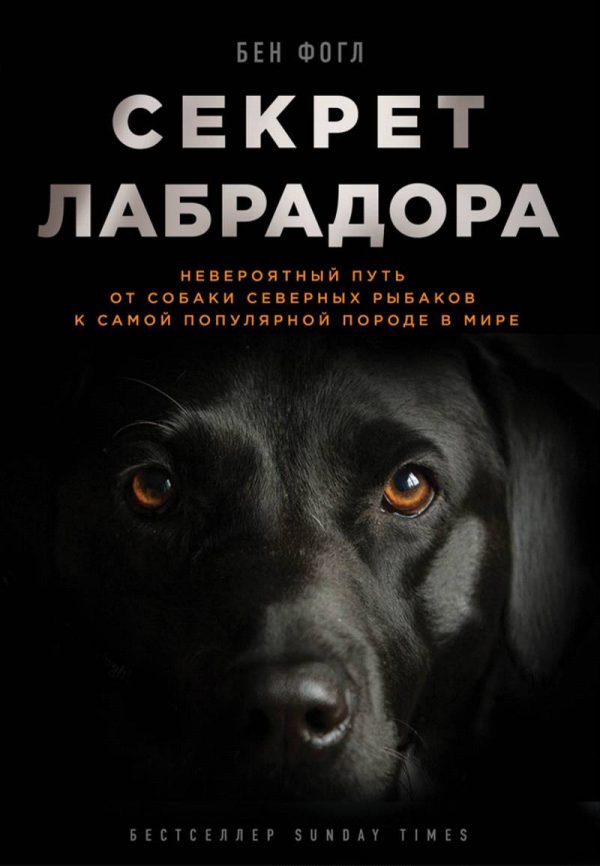 Обложка книги «Секрет лабрадора. Невероятный путь от собаки северных рыбаков к самой популярной породе в мире»