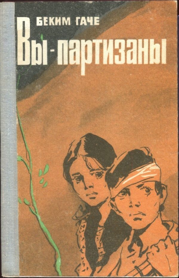 Обложка книги «Вы — партизаны»