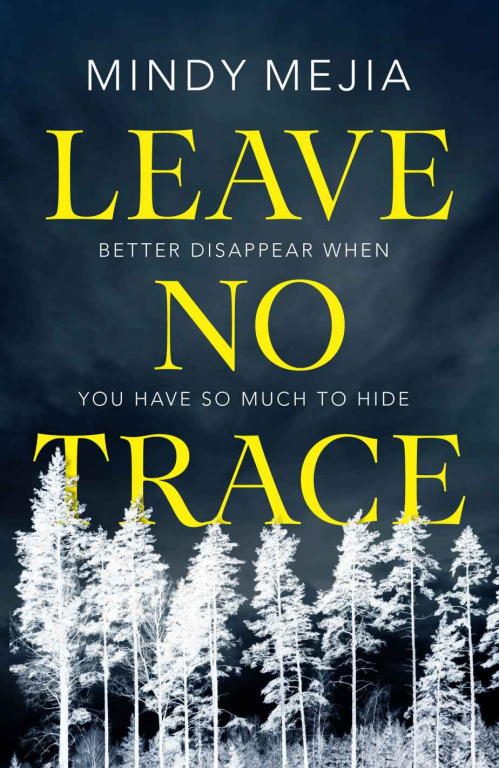 Обложка книги «Leave No Trace»