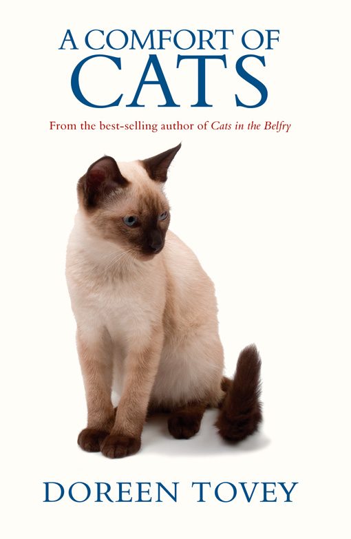 Обложка книги «A Comfort Of Cats»