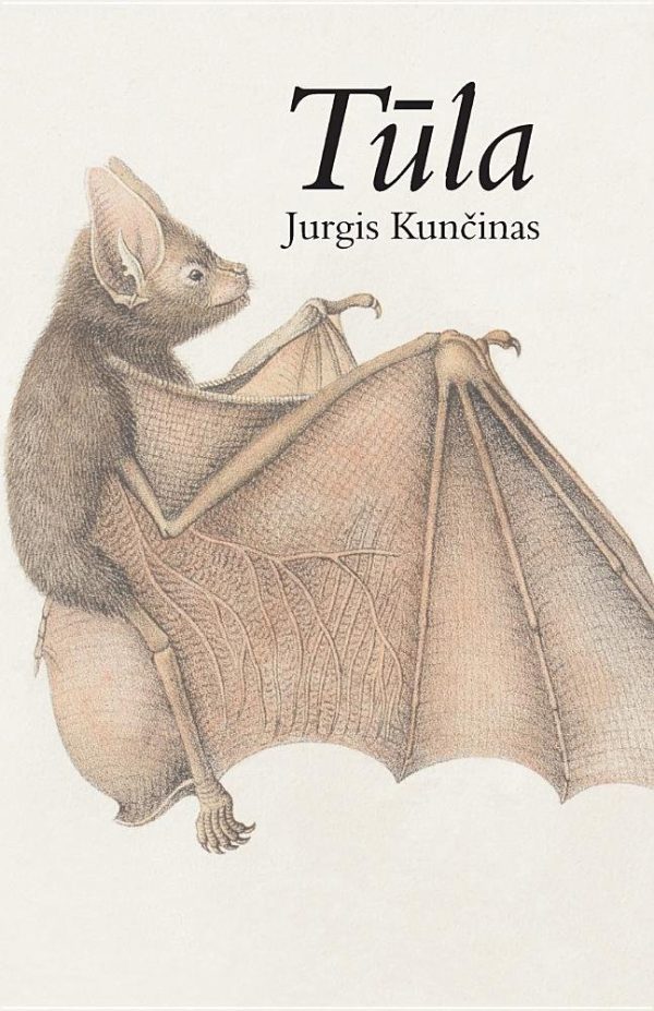 Обложка книги «Туула»