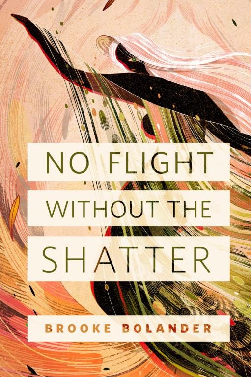 Обложка книги «No Flight Without the Shatter»