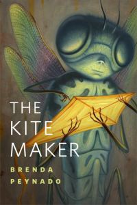 Обложка книги «The Kite Maker»