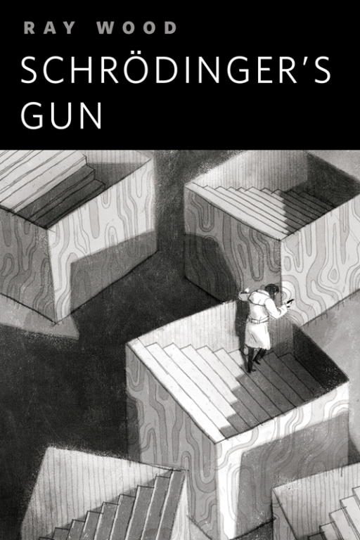 Обложка книги «Schrödinger's Gun»