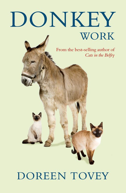 Обложка книги «Donkey Work»