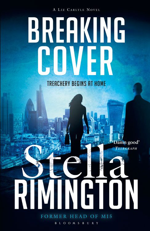 Обложка книги «Breaking Cover»