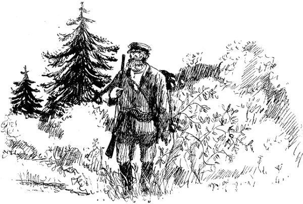 Обложка книги «Степан Андреич „Медвежья смерть"»