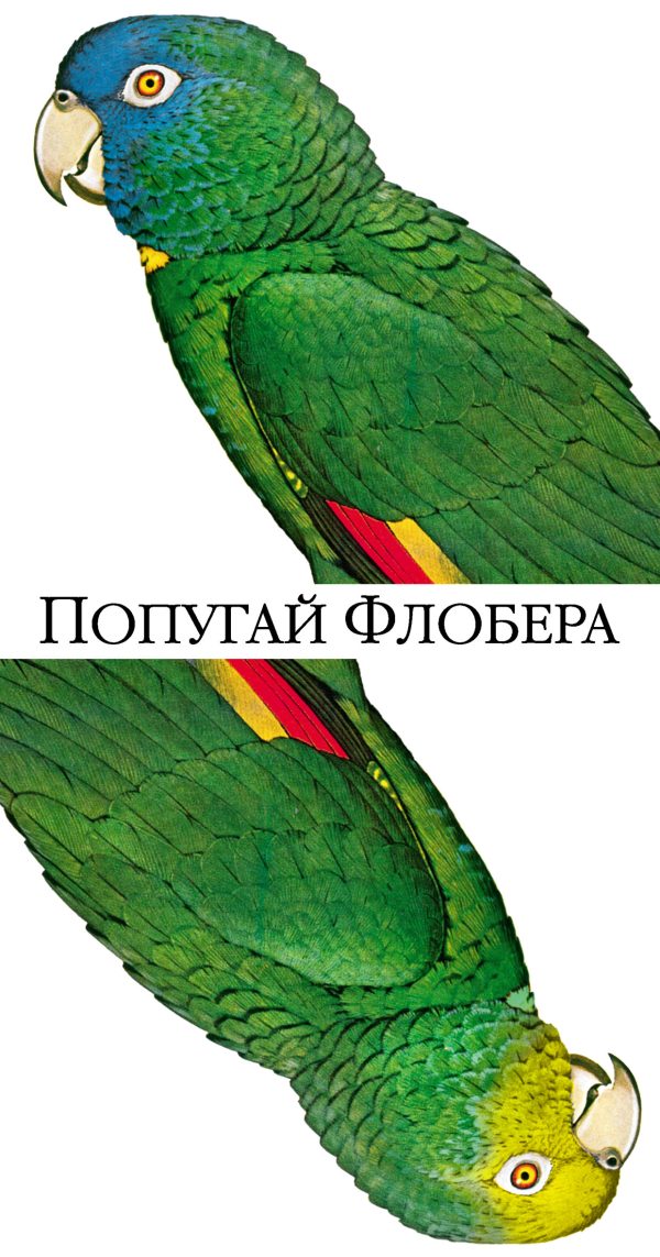 Обложка книги «Попугай Флобера»