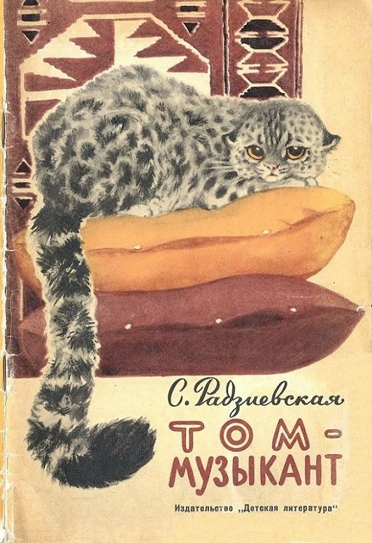 Обложка книги «Том - музыкант»