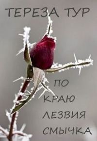 Обложка книги «По краю лезвия смычка»
