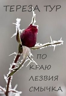 Обложка книги «По краю лезвия смычка»
