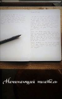 Обложка книги «Начинающий писатель [СИ]»