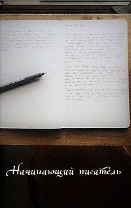 Обложка книги «Начинающий писатель [СИ]»