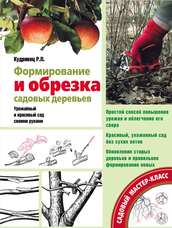 Обложка книги «Формирование и обрезка садовых деревьев»