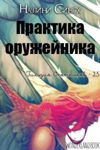 Обложка книги «Практика оружейника»