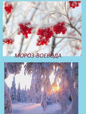 Обложка книги «Мороз Воевода (СИ)»