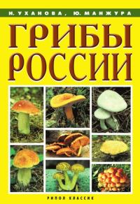 Обложка книги «Грибы России»