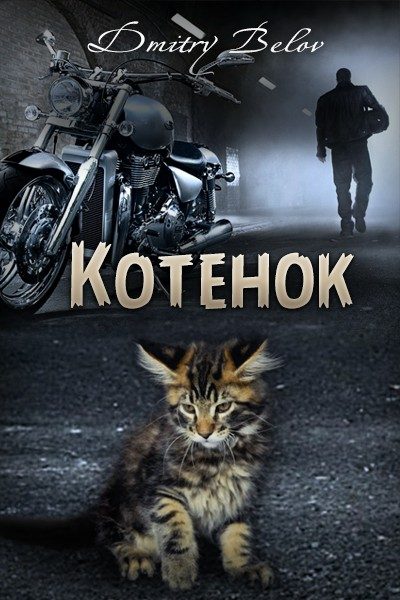 Обложка книги «Котёнок (СИ)»