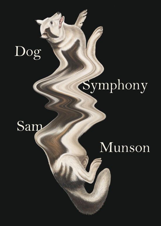 Обложка книги «Dog Symphony»