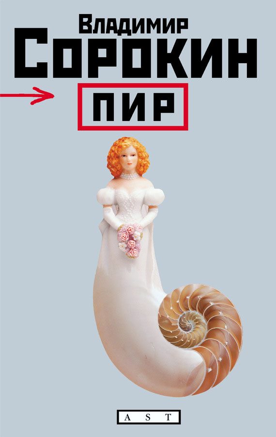 Обложка книги «Настя»