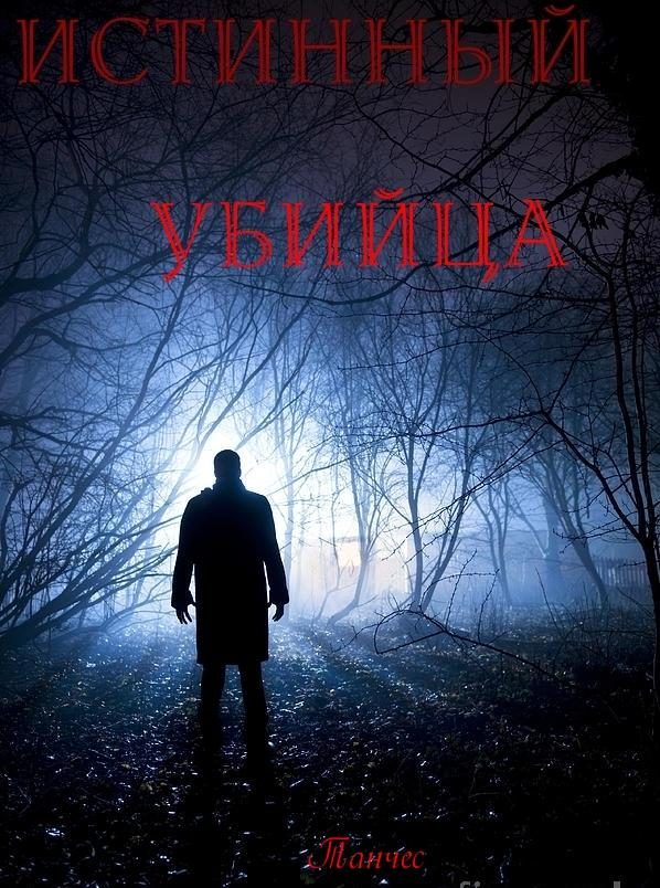 Обложка книги «Истинный убийца»