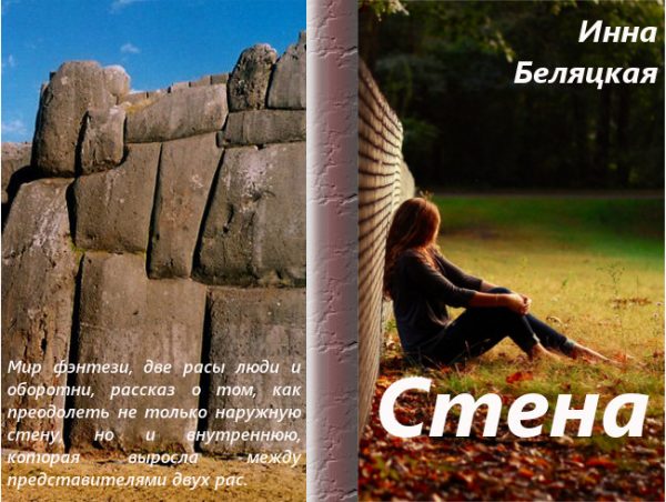 Обложка книги «Стена (СИ)»