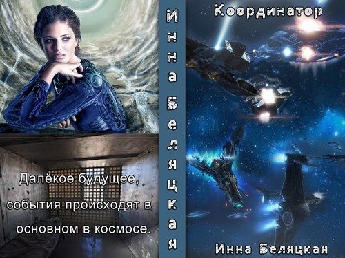 Обложка книги «Координатор (СИ)»