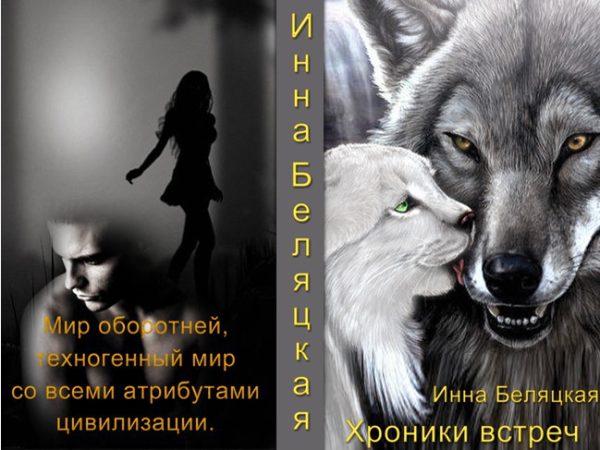Обложка книги «Хроники встреч (СИ)»