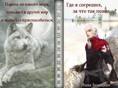 Обложка книги «Где я согрешил, за что так попал? (СИ)»