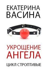 Обложка книги «Укрощение Ангела»
