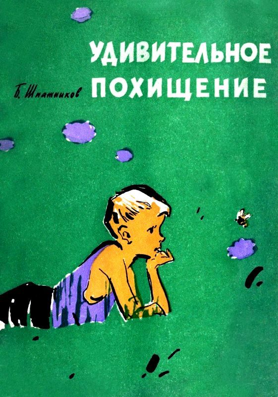 Обложка книги «Удивительное похищение»