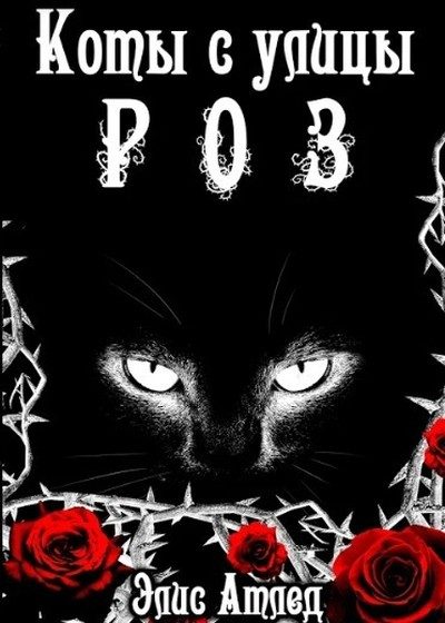 Обложка книги «Король Терний (СИ)»