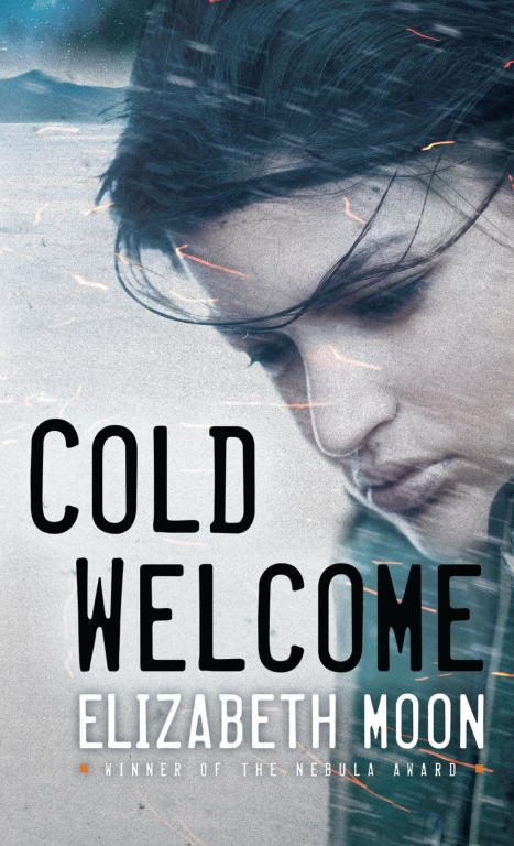 Обложка книги «Cold Welcome»