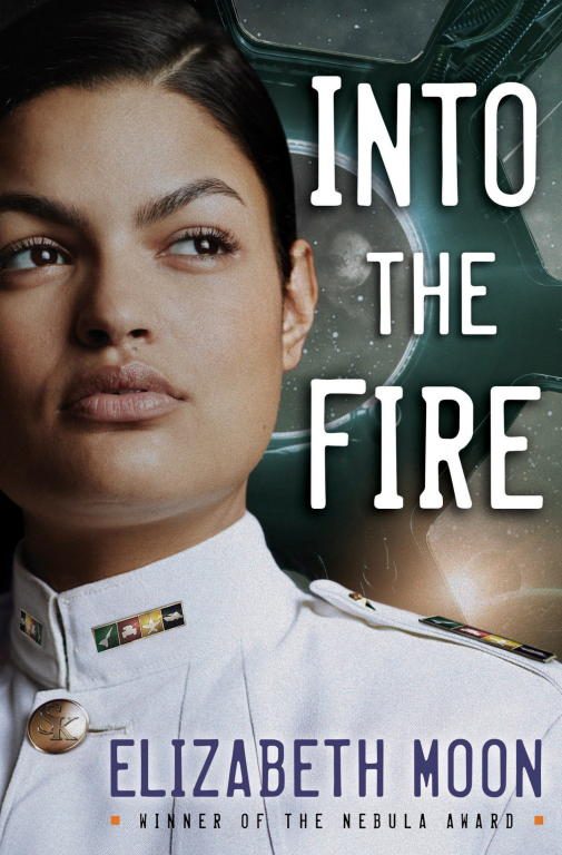 Обложка книги «Into the Fire»