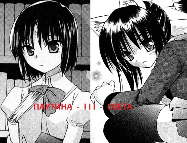 Обложка книги «Паутина Света. Книга 3»