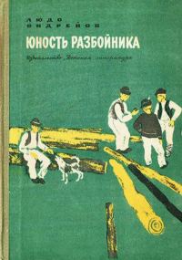 Обложка книги «Юность разбойника»