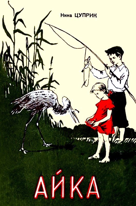 Обложка книги «Айка»