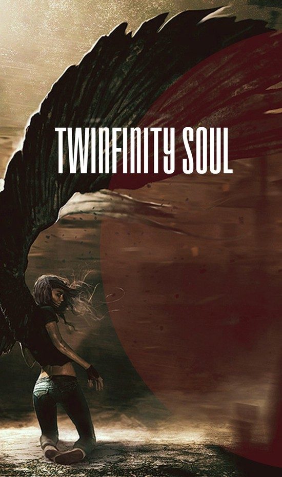 Обложка книги «Twinfinity Soul (СИ)»