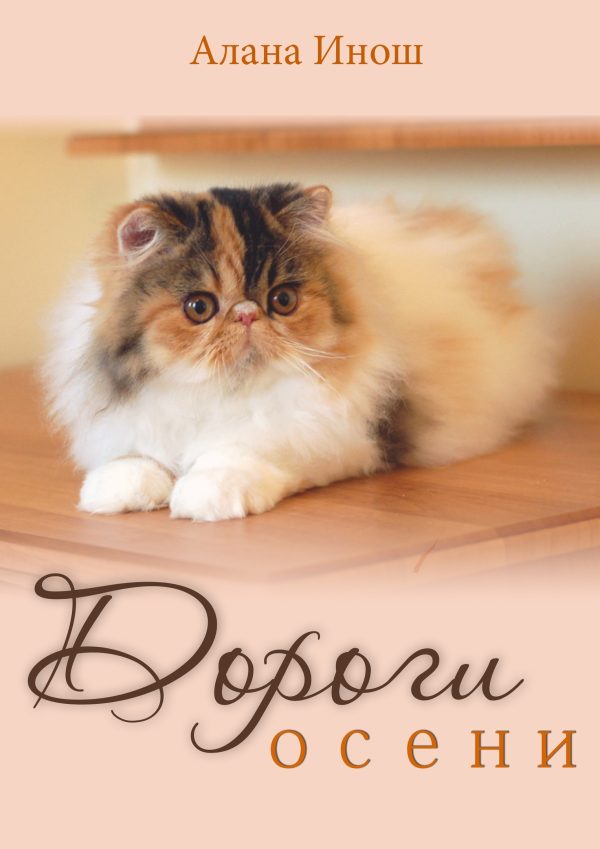 Обложка книги «Дороги осени»