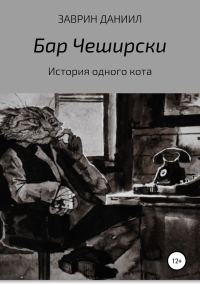 Обложка книги «История одного кота»