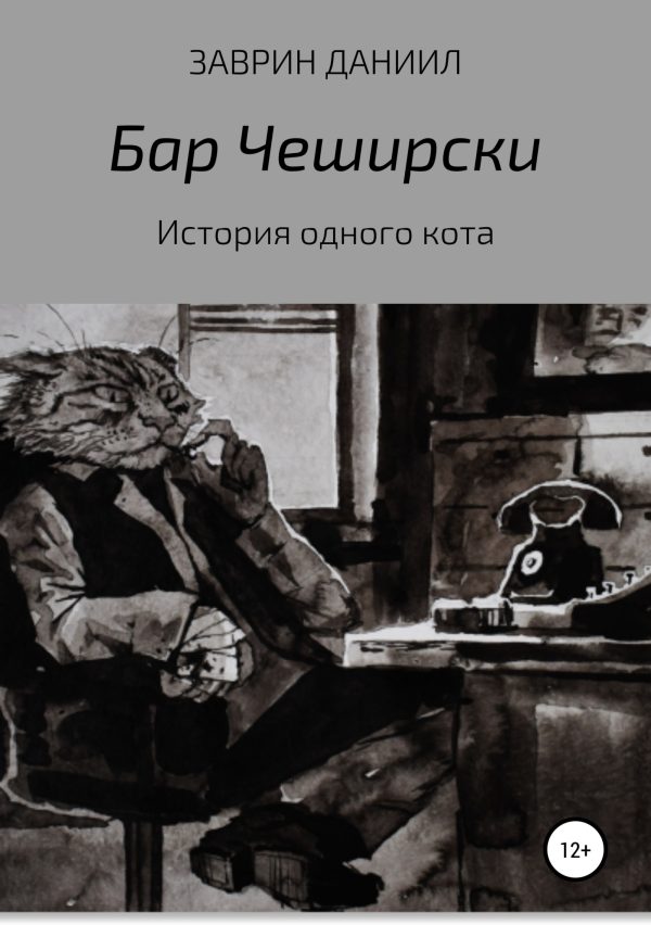 Обложка книги «История одного кота»