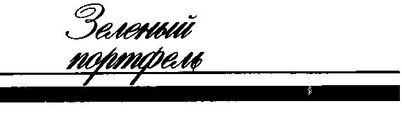 Обложка книги «Зеленый портфель»