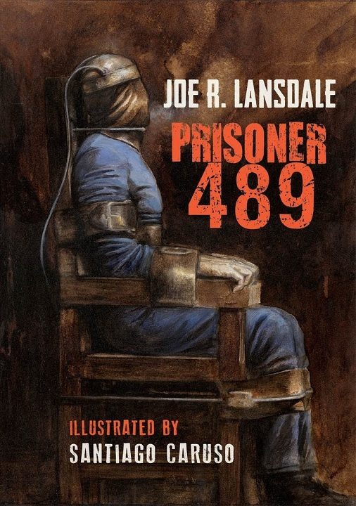 Обложка книги «Заключенный 489»