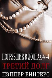 Обложка книги «Третий долг»
