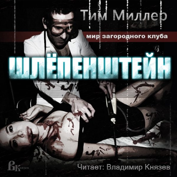 Обложка книги «Шлёпенштейн»